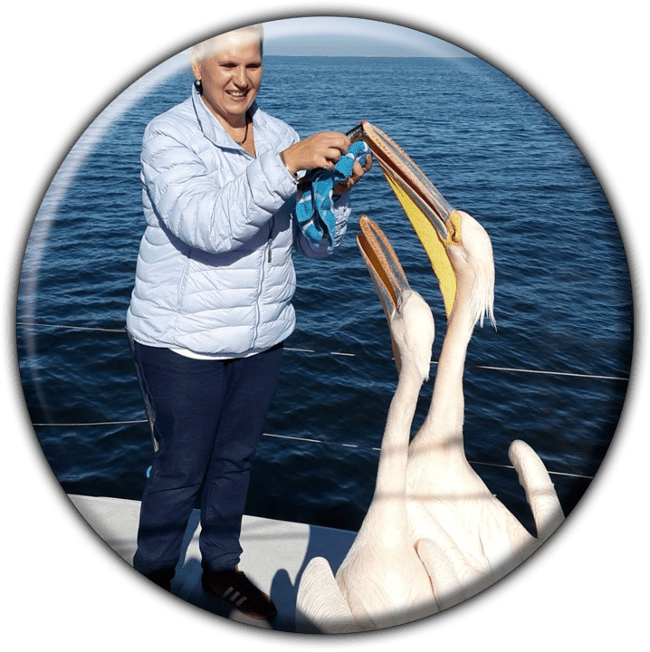 Namibia Dolphin and Seal Catamaran Cruises (Walvis Bay) - Tours and Safaris Operators in Swakopmund, Namibia